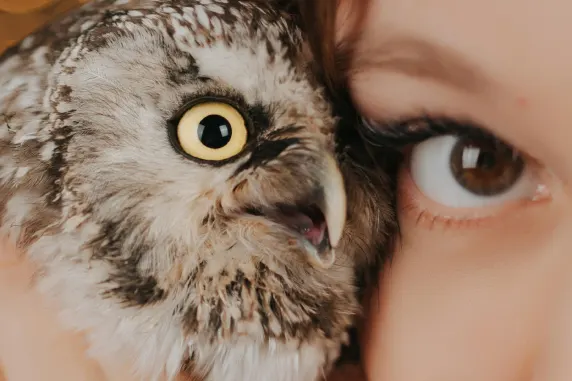 Kazino AllStar Slots Atbalsts